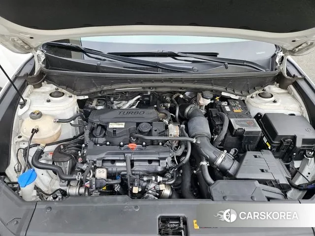 Hyundai Tucson (NX4) 2021 Белый из Кореи, фото 6