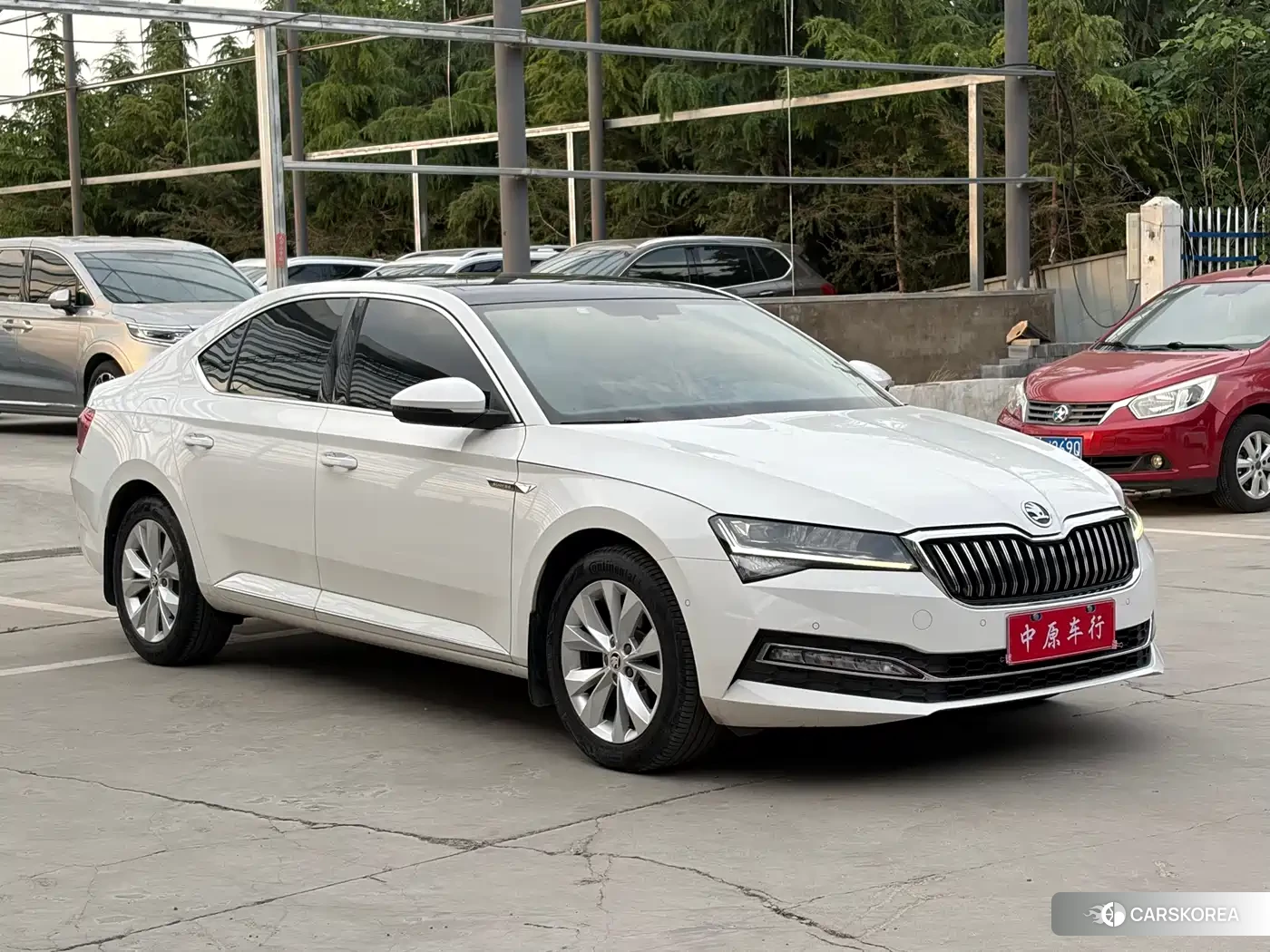 Skoda Speed pie 2021 Белый из Китая, фото 6