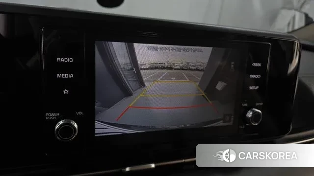 Kia The New Carnival 2020 Серый из Кореи, фото 6