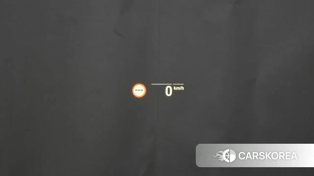 BMW X4 (G02) 2025 Белый из Кореи, фото 6