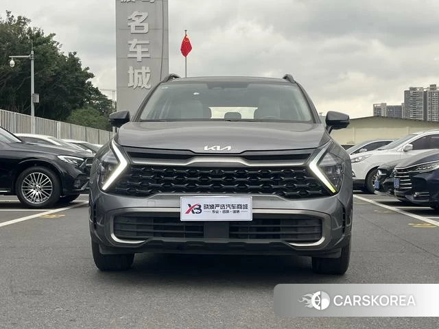 Kia Lion Platinum expands the world 2023 Темно-серый из Китая, фото 6