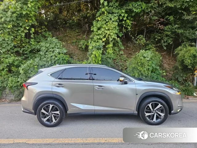 Lexus NX300h 2021 Серый из Кореи, фото 6