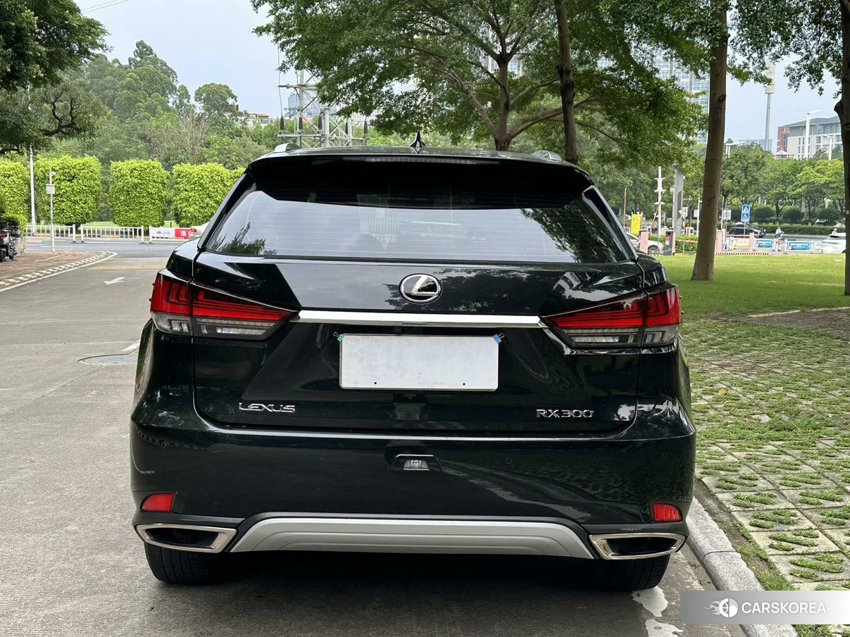Lexus RX 2019 Черный из Китая, фото 6