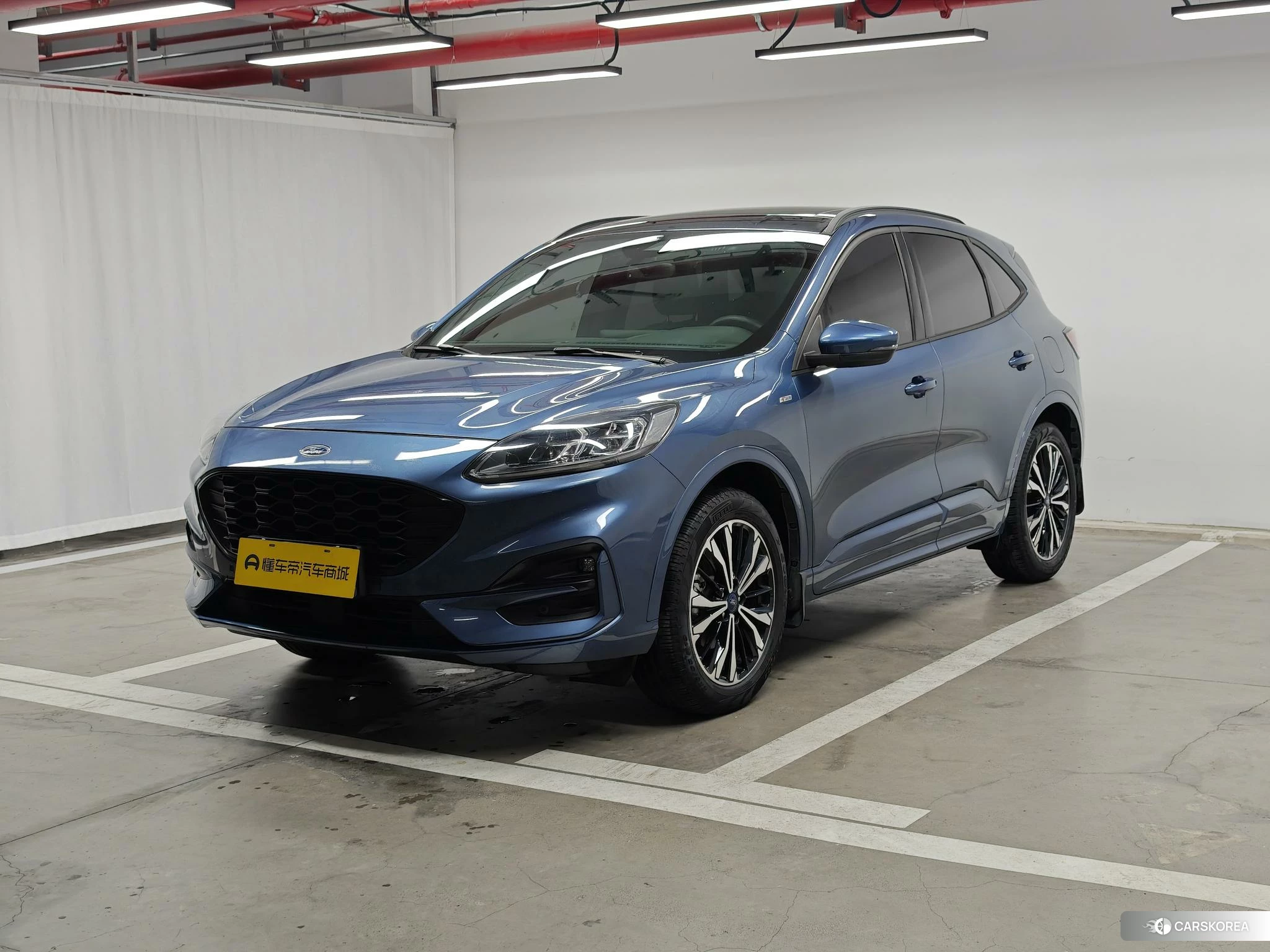 Ford Ruiji 2019 Синий из Китая, фото 6