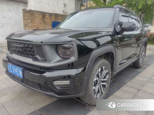 Haval Big Dog PLUS 2024 Черный из Китая, фото 6
