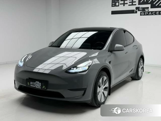 Tesla Model Y 2023 Темно-серый из Китая, фото 6