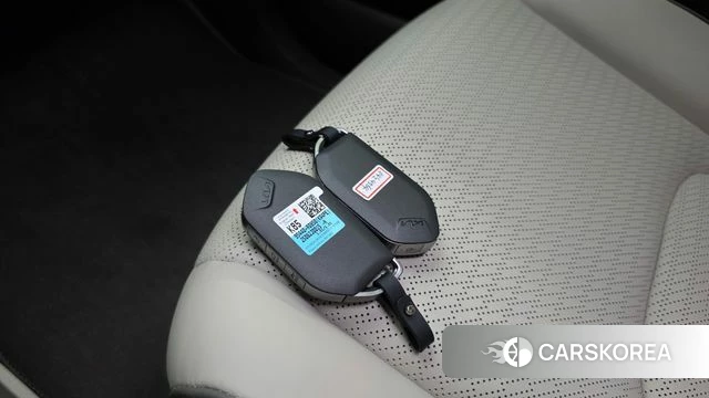 Kia The New Carnival 4th Generation 2025 Белый из Кореи, фото 6