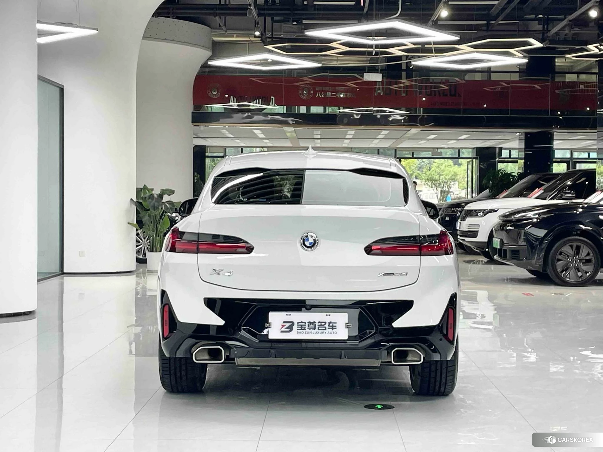 BMW X4 2021 Белый из Китая, фото 6