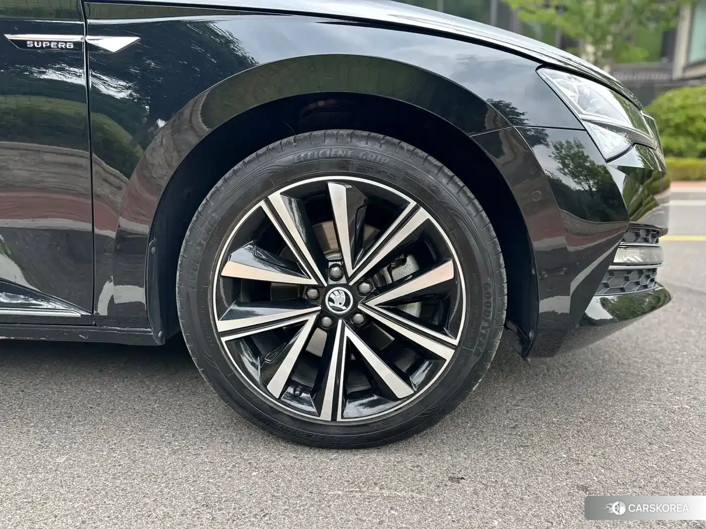 Skoda Speed pie 2023 Черный из Китая, фото 6