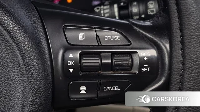 Kia All New Carnival 2018 Фиолетовый из Кореи, фото 6