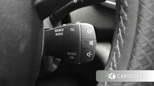 Renault Korea (Samsung) The New QM6 2021 Серый из Кореи, фото 6