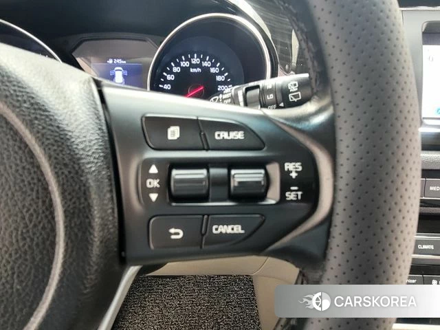 Kia The New Carnival 2018 Белый из Кореи, фото 6