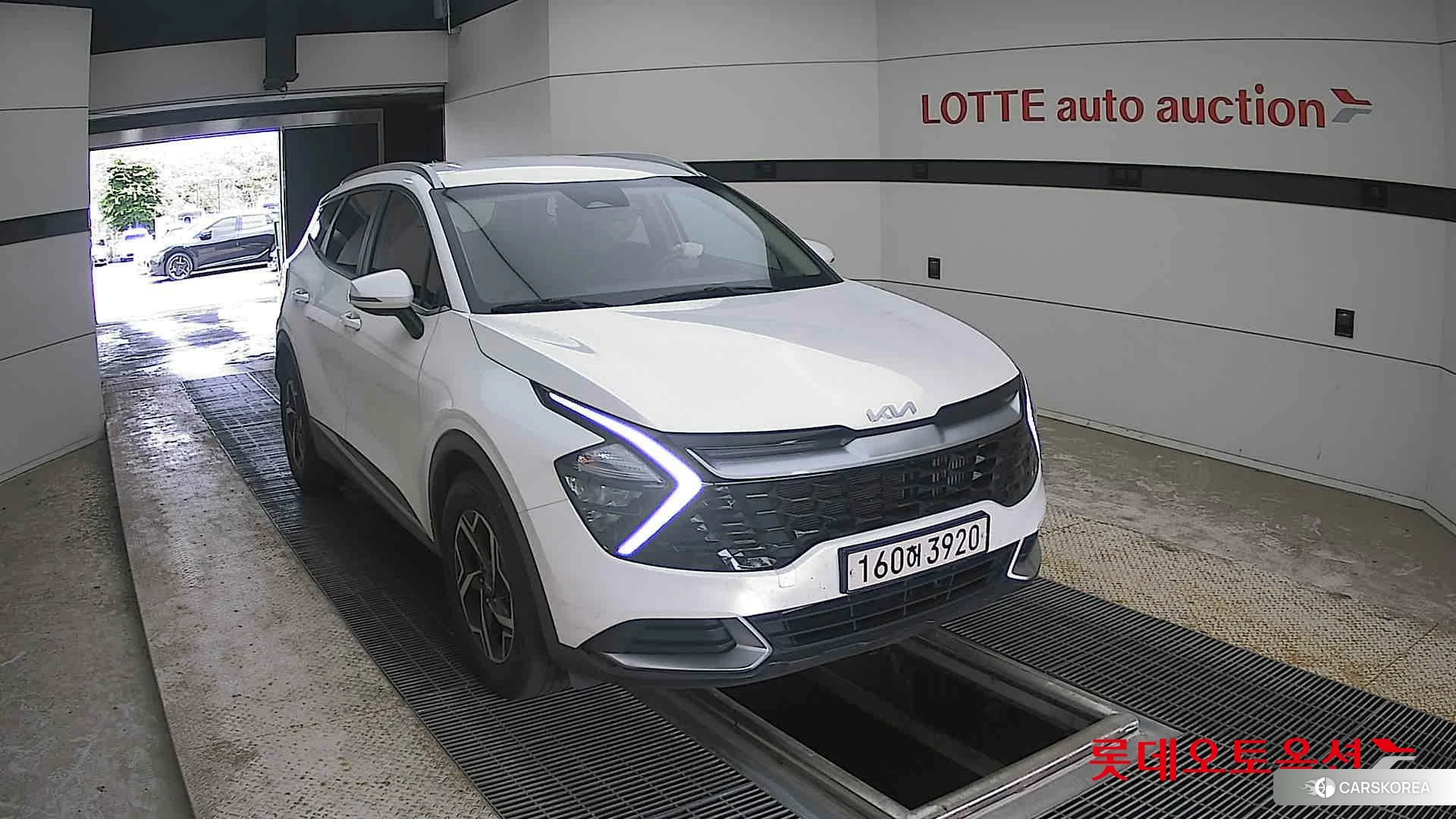 Kia Sportage 2022 Snow White Pearl (optional) из Кореи, фото 6