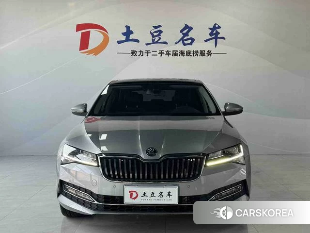 Skoda Speed pie 2023 Серебристо-серый из Китая, фото 6