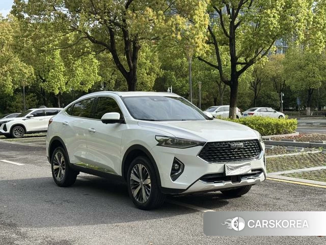 Haval F7x 2020 Белый из Китая, фото 6