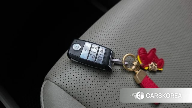 Kia The New Carnival 2019 Серый из Кореи, фото 6