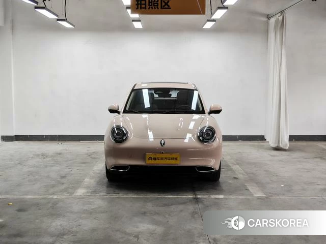 Euler Good cat 2022 Другой из Китая, фото 6