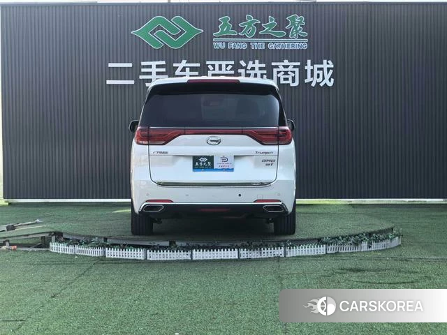 GAC Trumpchi Trumpchi M8 2019 Белый из Китая, фото 6