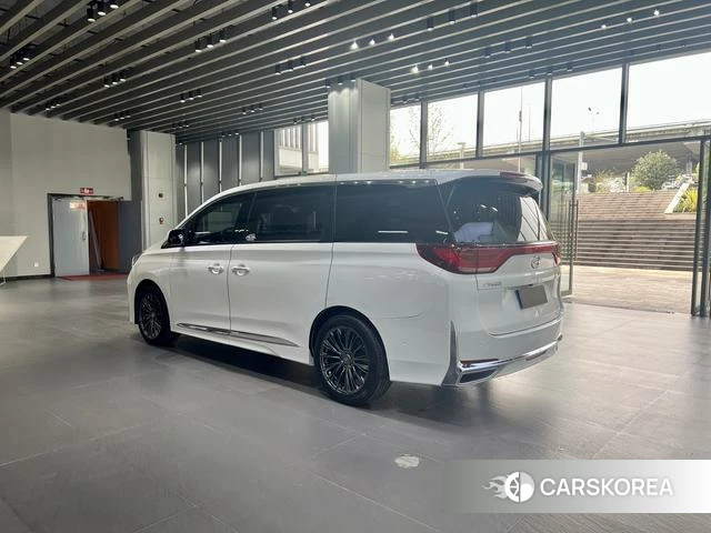 GAC Trumpchi Trumpchi M8 2020 Белый из Китая, фото 6