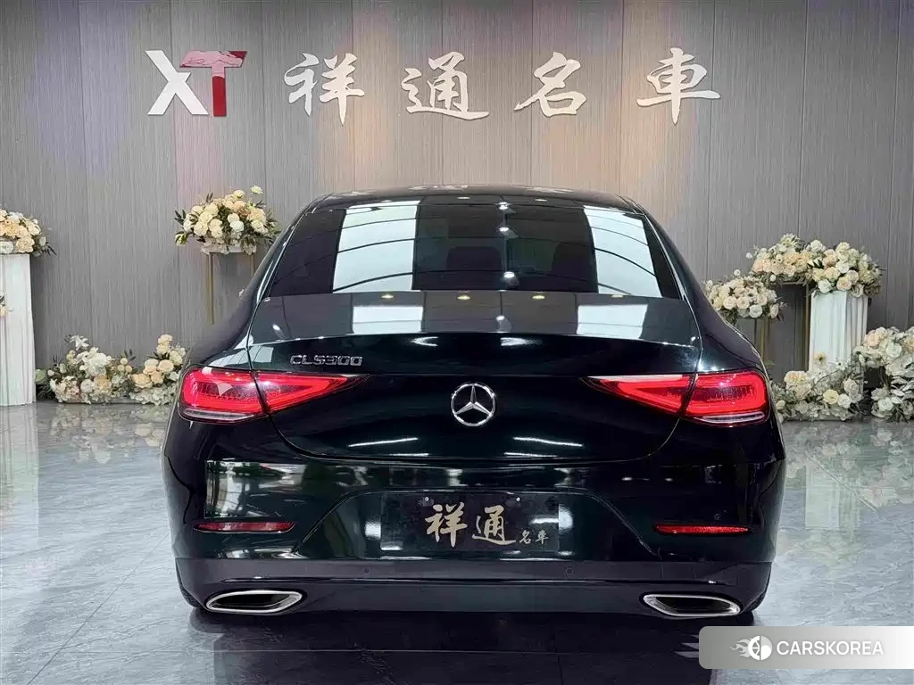 Mercedes-Benz CLS 2019 Зеленый из Китая, фото 6
