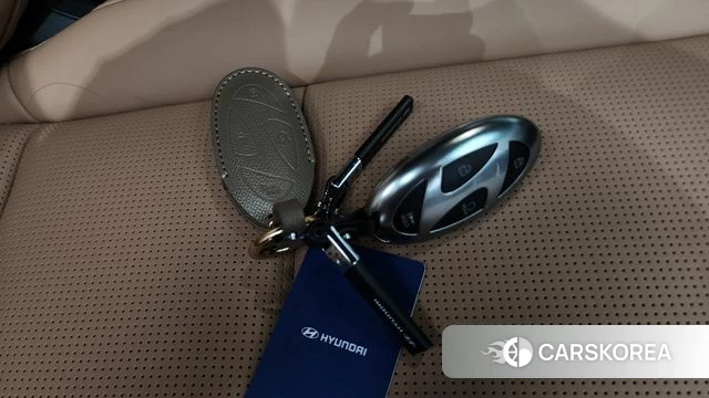 Hyundai Santa Fe (MX5) 2024 Белый из Кореи, фото 6