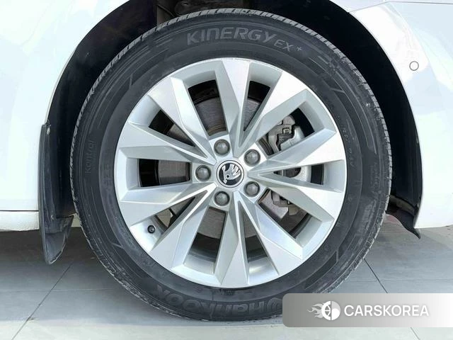 Skoda Speed pie 2021 Белый из Китая, фото 6
