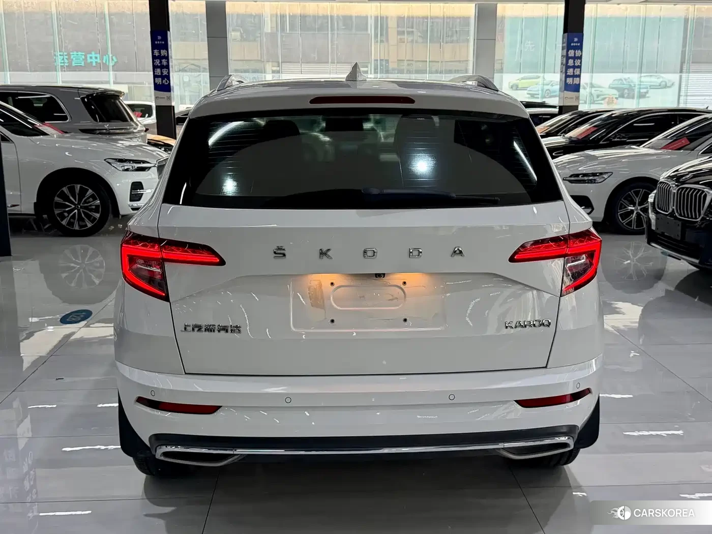 Skoda Krok 2023 Белый из Китая, фото 6
