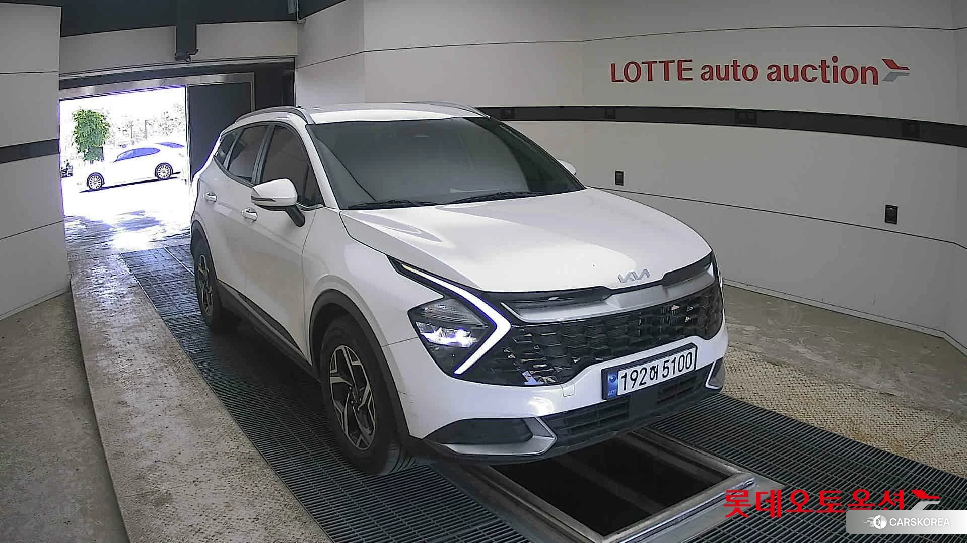 Kia Sportage 2023 Snow White Pearl (optional) из Кореи, фото 6