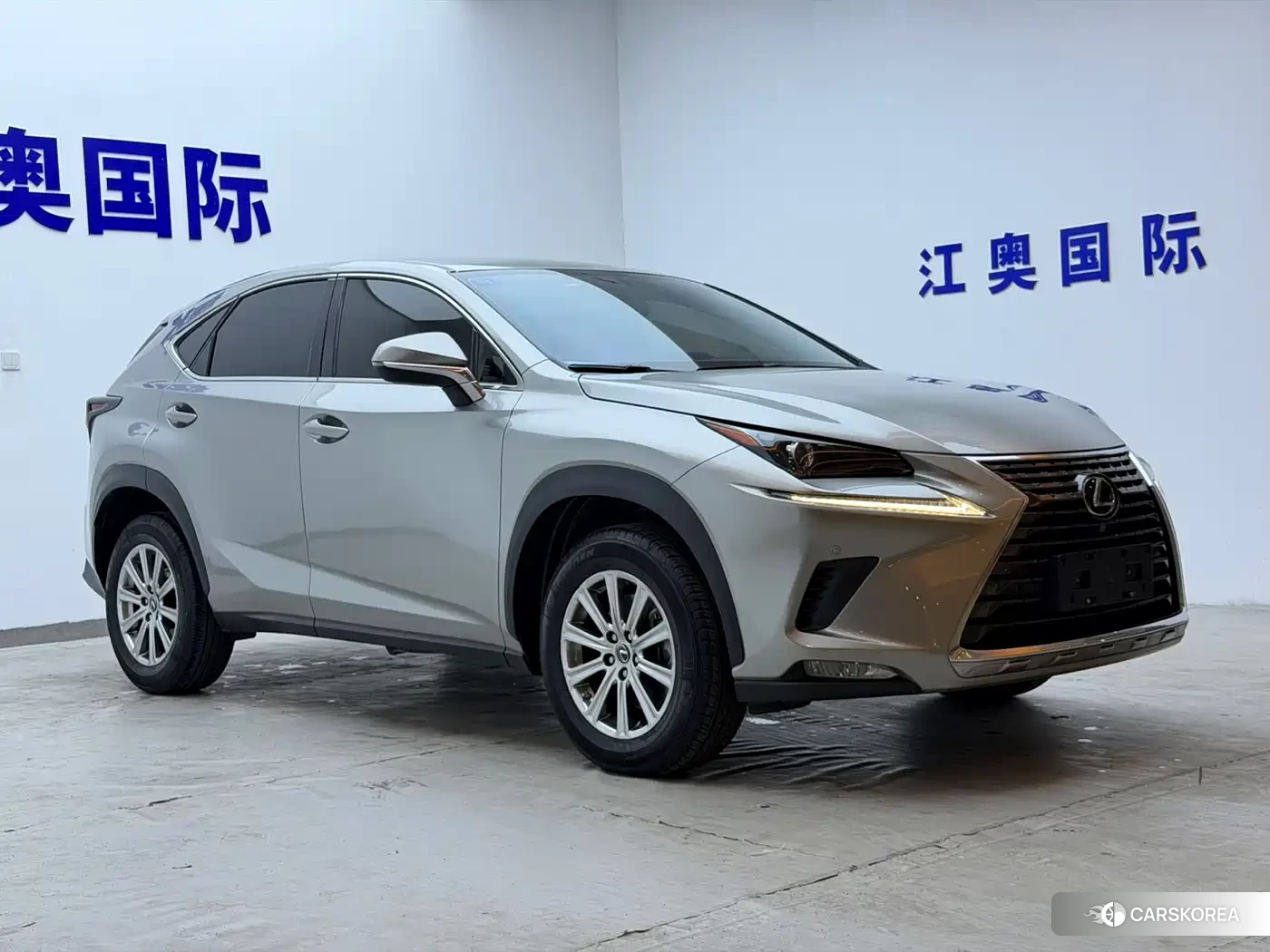Lexus NX 2021 Silver/gray из Китая, фото 6