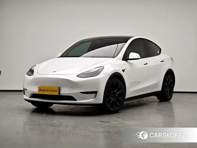 Tesla Model Y 2021 Белый из Китая, фото 6