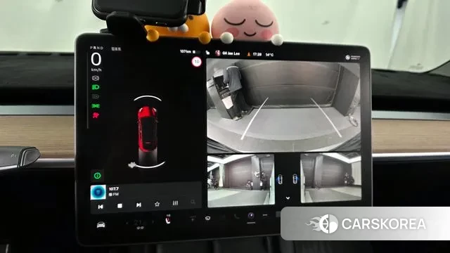 Tesla Model Y 2021 Белый из Кореи, фото 6