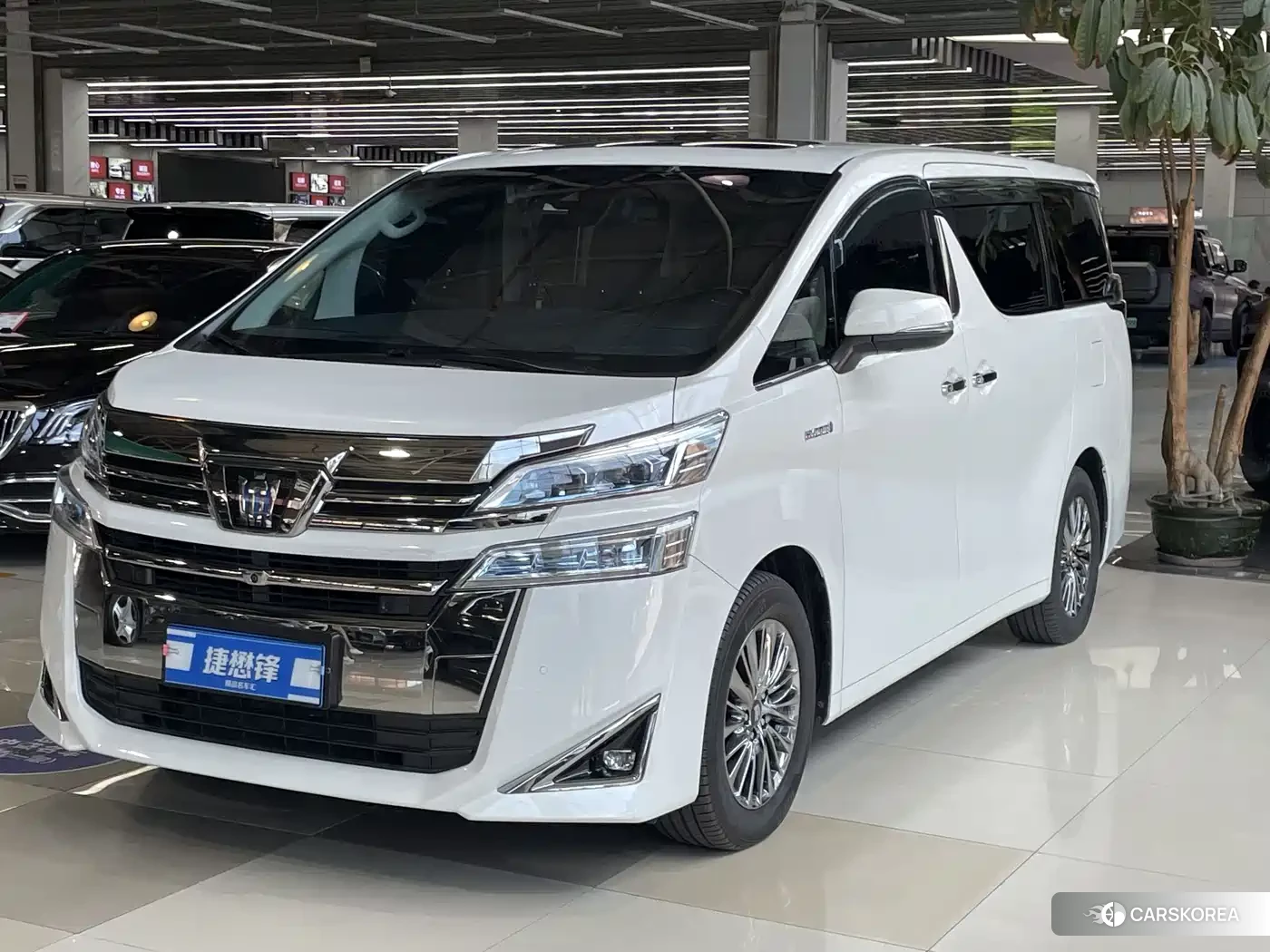 Toyota Vellfire 2021 Белый из Китая, фото 6