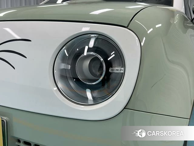 Euler Black cat 2022 Другой из Китая, фото 6