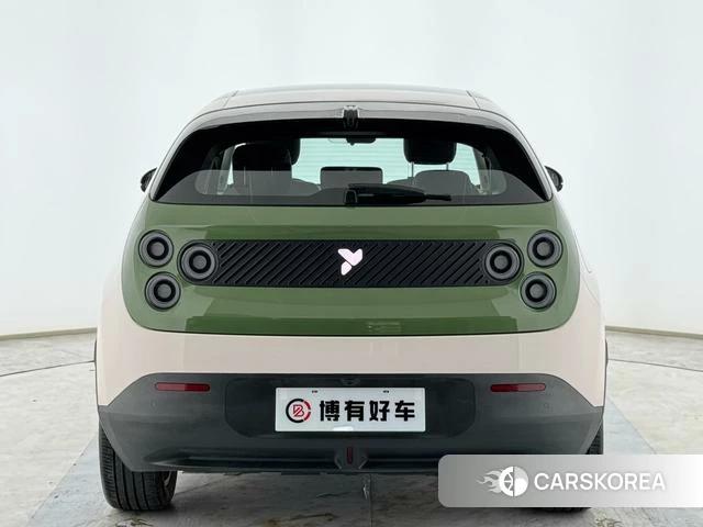 firefly firefly firefly firefly 2025 Зеленый из Китая, фото 6
