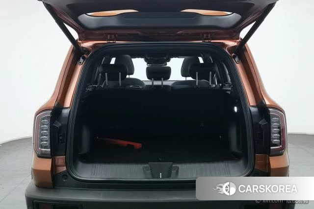 Haval Big dog 2023 Желтый из Китая, фото 6