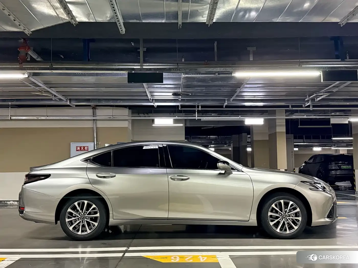 Lexus ES 2026 Champagne/brown из Китая, фото 6