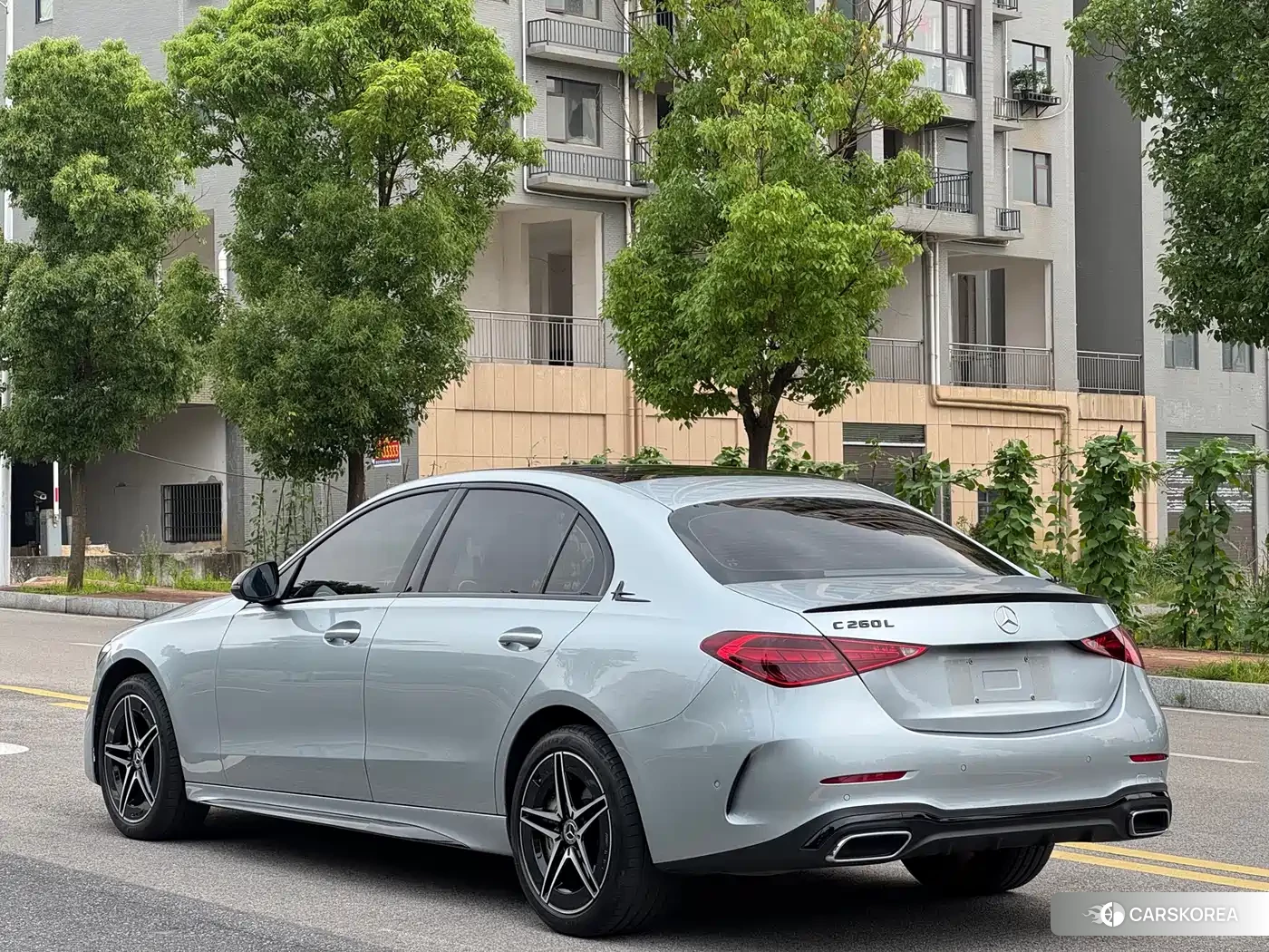 Mercedes-Benz C-class 2023 Silver/gray из Китая, фото 6