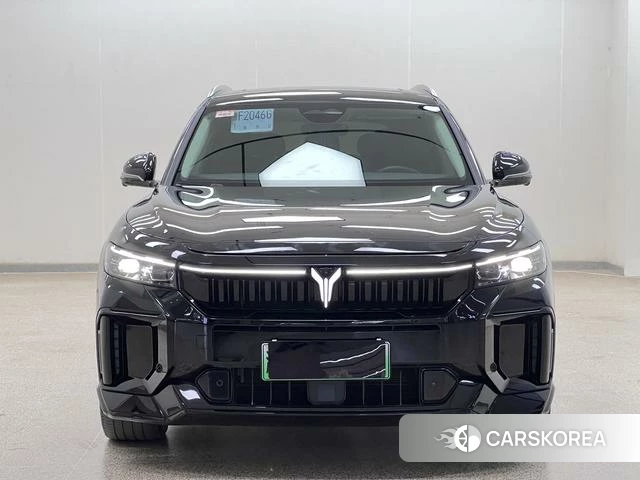 Lan Tu FREE 2023 Черный из Китая, фото 6