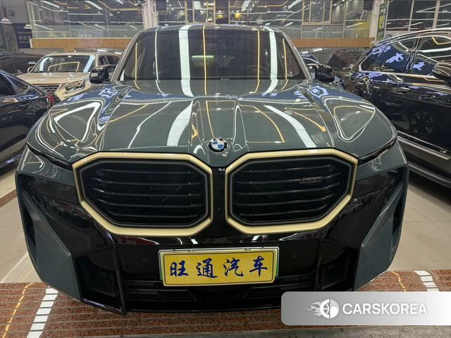BMW XM 2024 Синий из Китая, фото 6