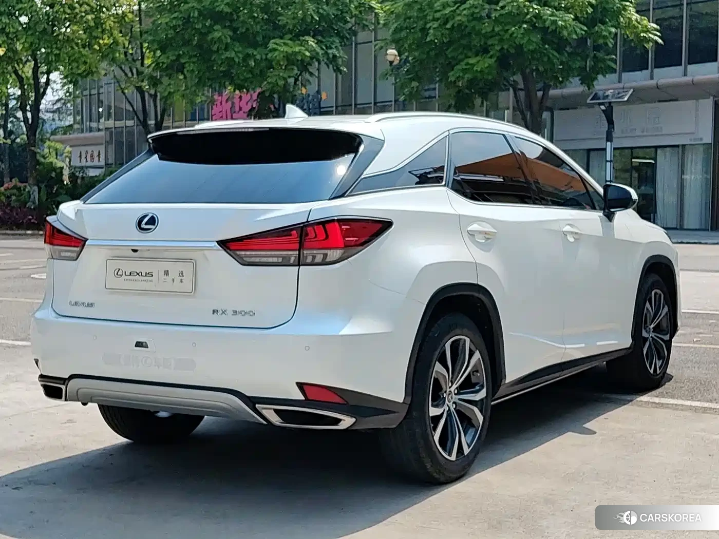 Lexus RX 2021 Белый из Китая, фото 6