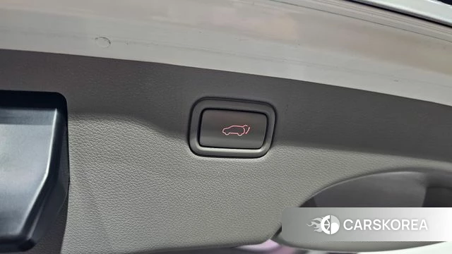 Kia The New Carnival 2019 Белый из Кореи, фото 6