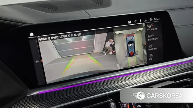 BMW X6 (G06) 2022 Серый из Кореи, фото 6