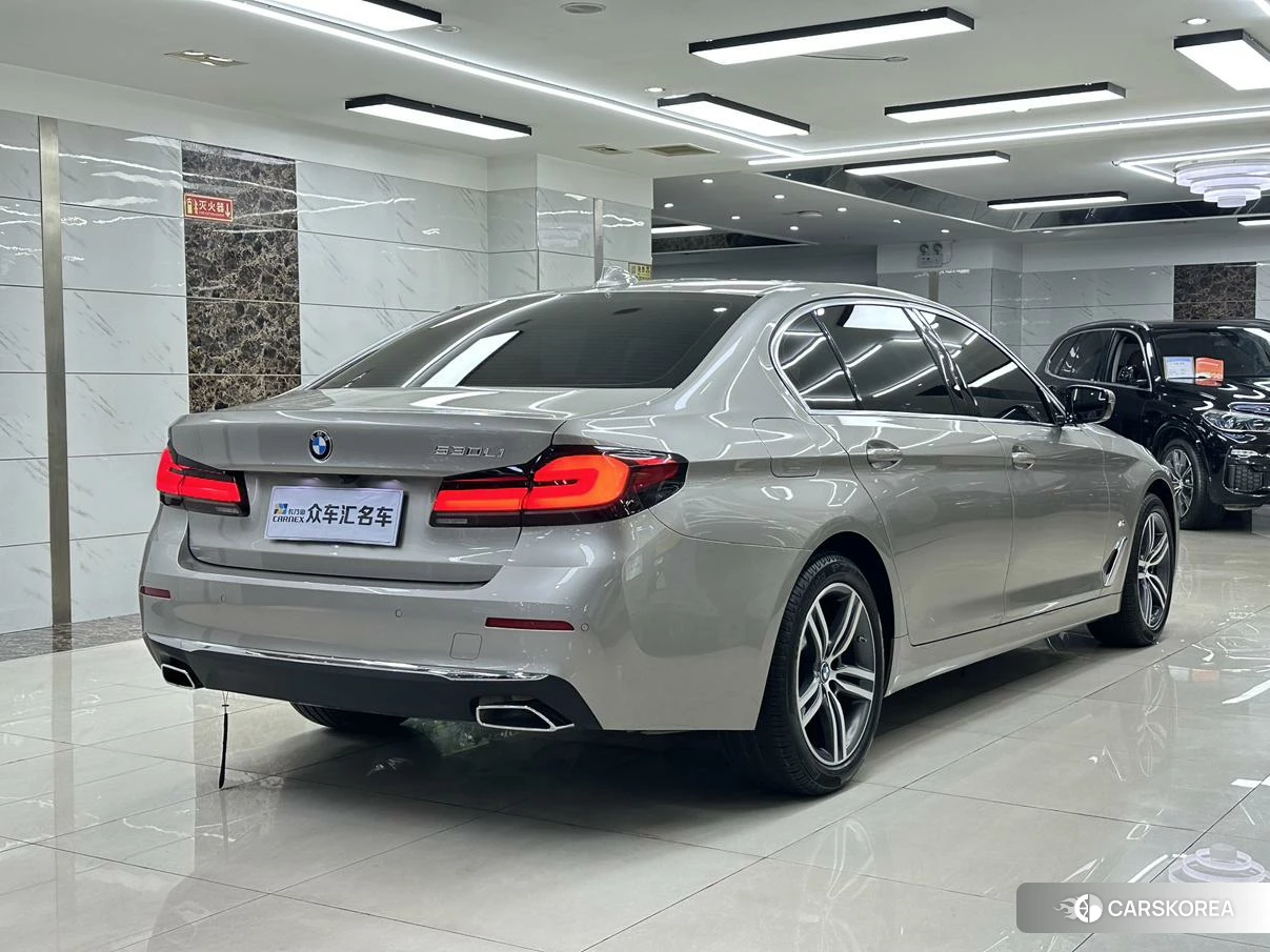 BMW 5 series 2021 Шампань из Китая, фото 6