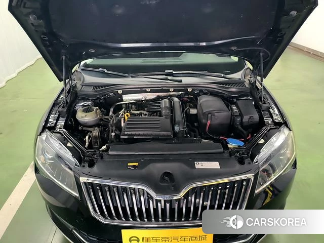 Skoda Speed pie 2018 Черный из Китая, фото 6