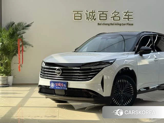 Nissan Exploring the land 2025 Белый из Китая, фото 6