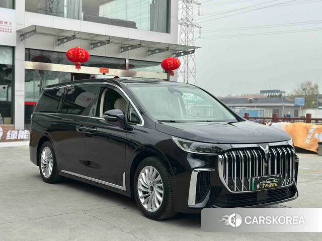Lan Tu Dreamer PHEV 2024 Фиолетовый из Китая, фото 6