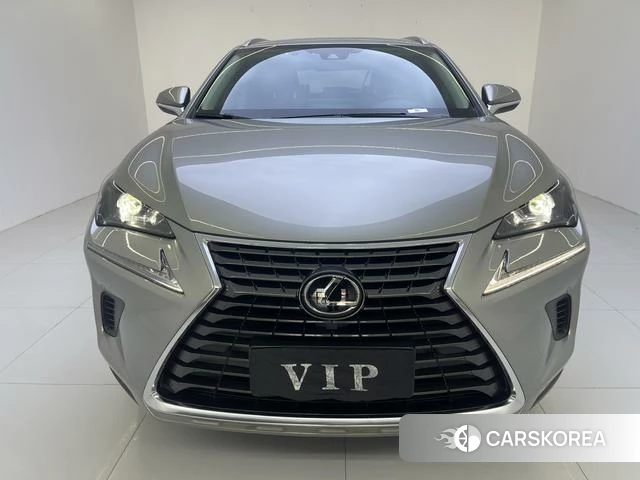 Lexus NX 2021 Темно-серый из Китая, фото 6