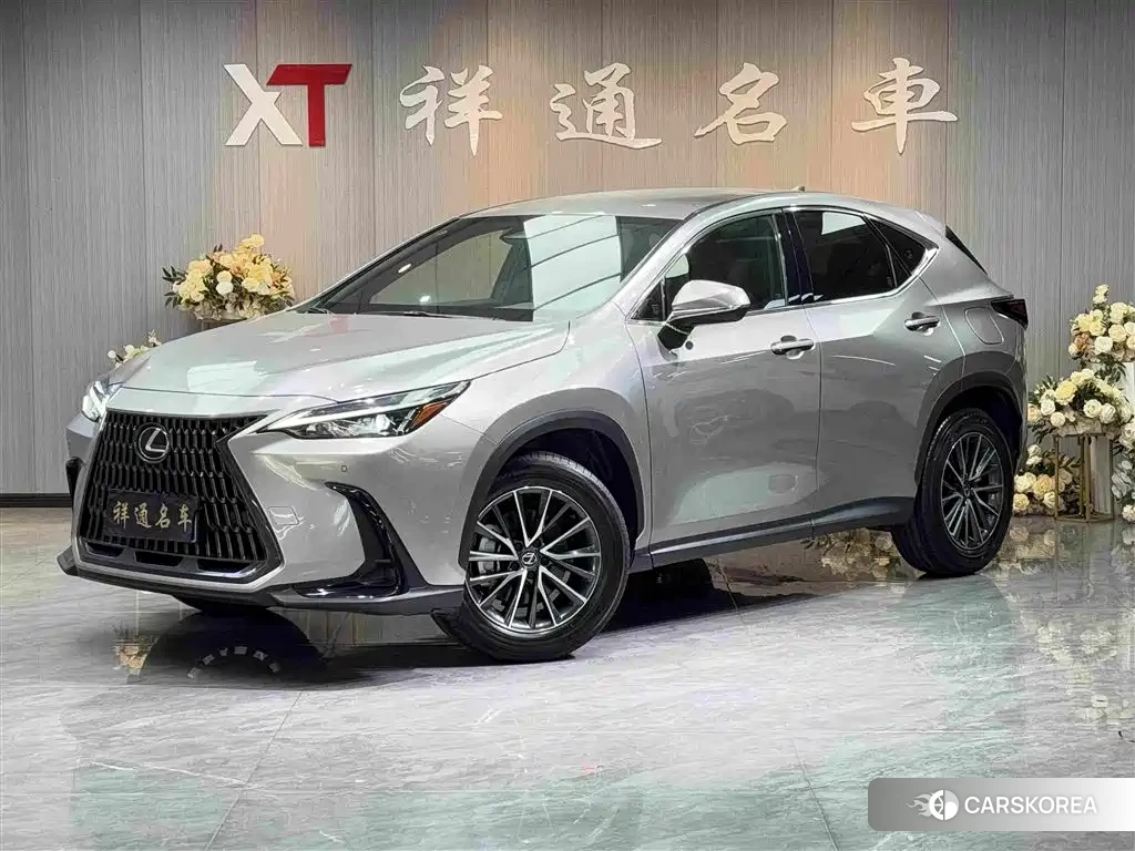Lexus NX 2023 Silver/gray из Китая, фото 6