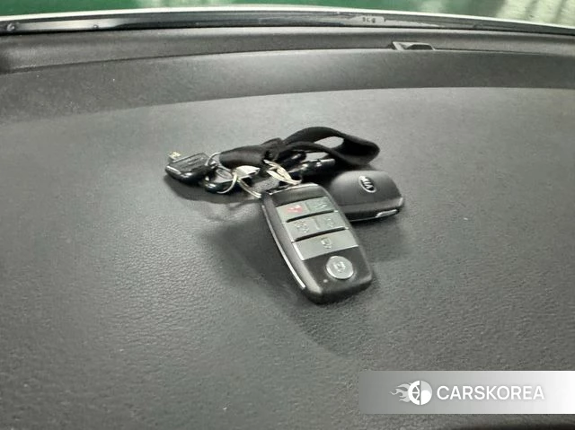 Kia The New Carnival 2019 Белый из Кореи, фото 6