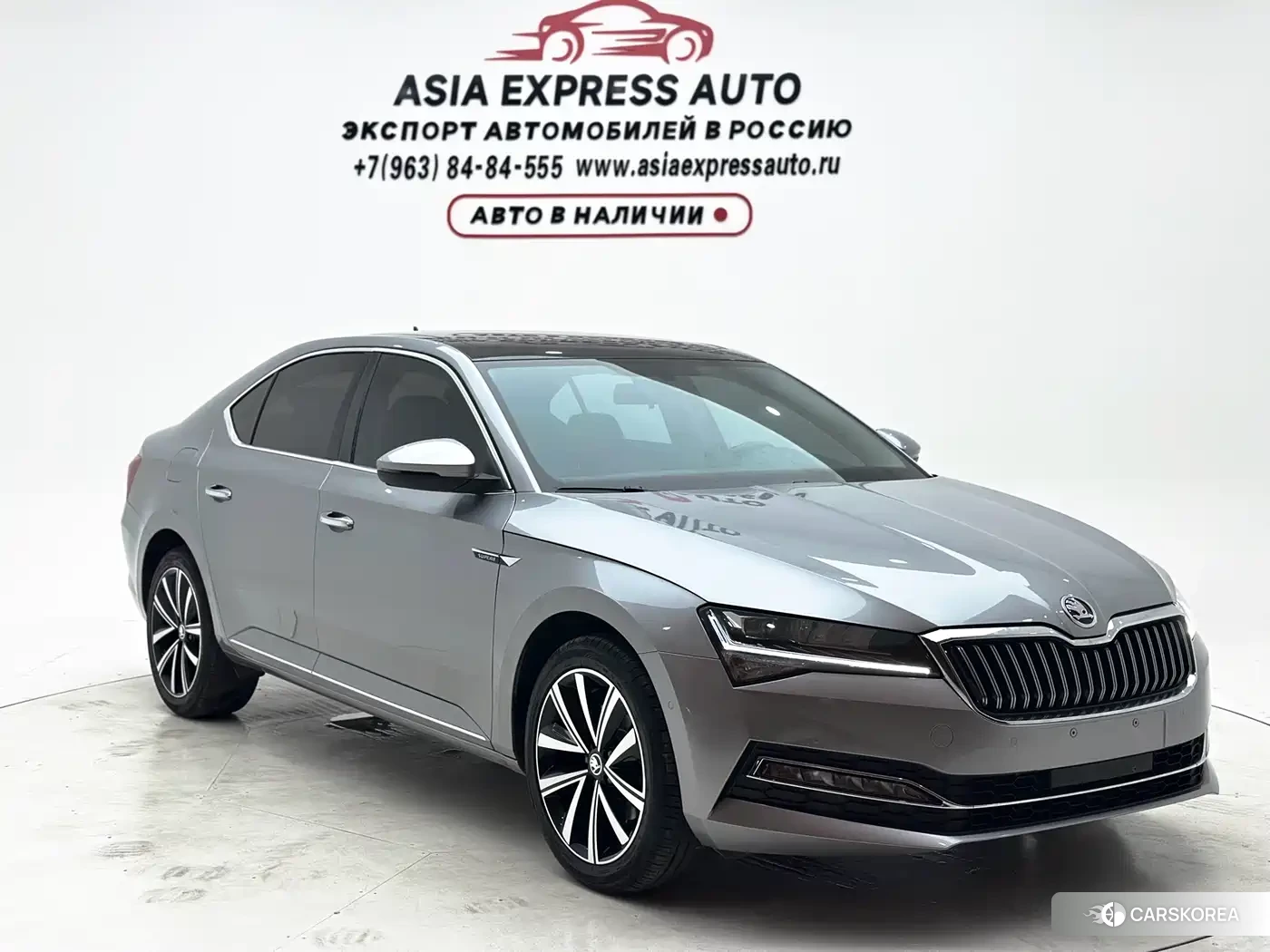 Skoda Speed pie 2024 Silver/gray из Китая, фото 6